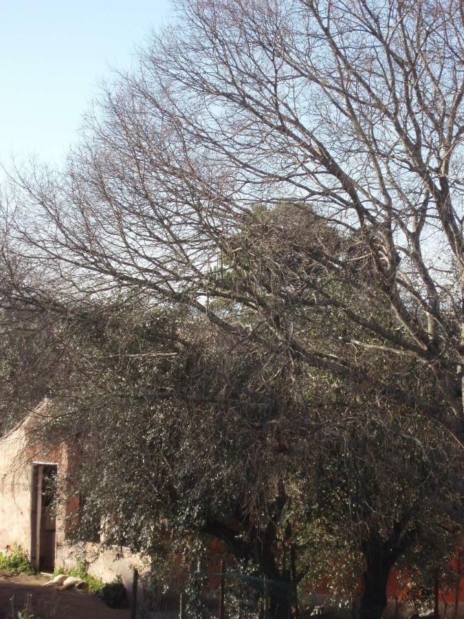 Casal Da Juge Hotel Torres Novas Kültér fotó